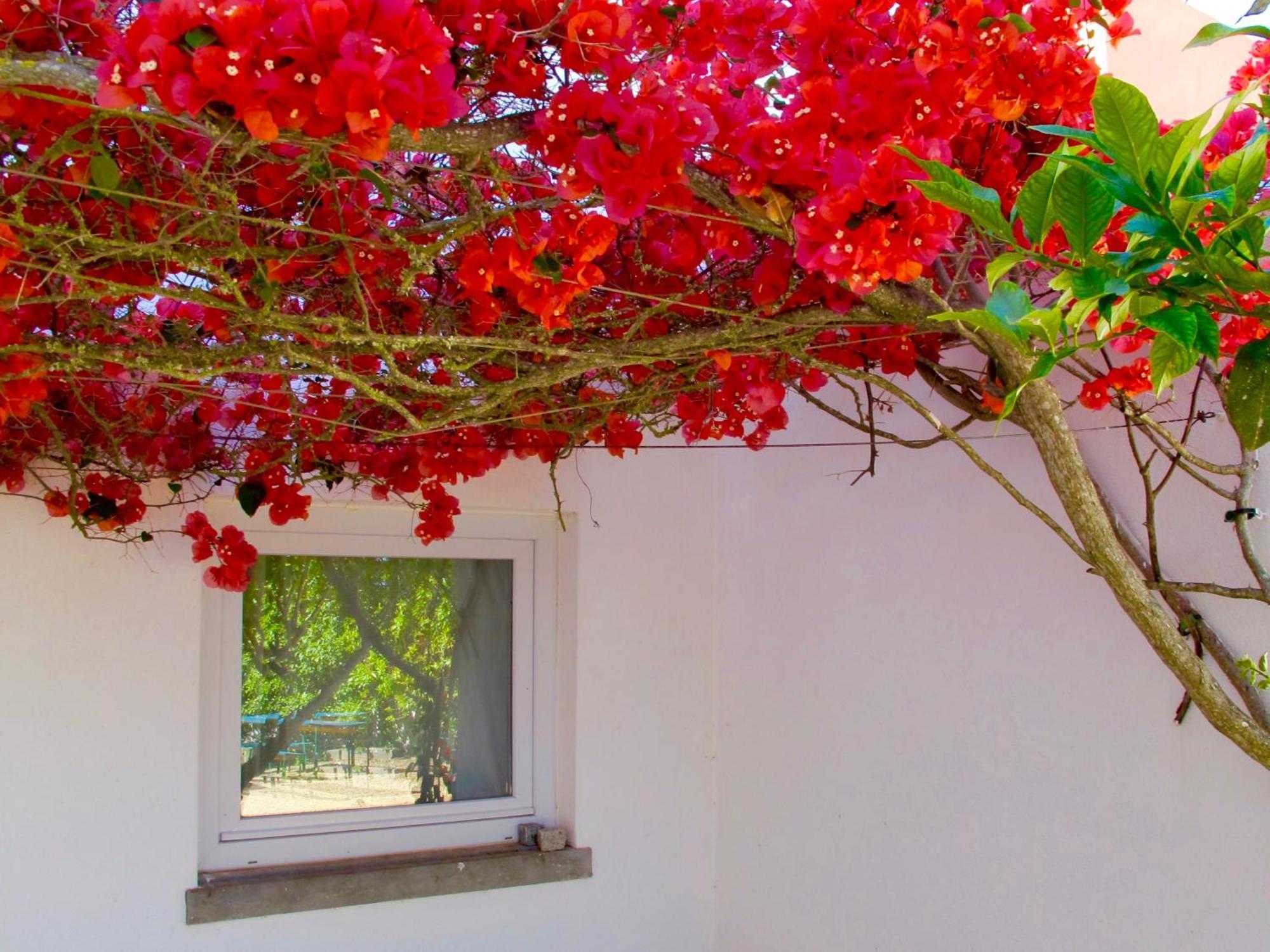 Seaya Villas Cascais Phòng bức ảnh